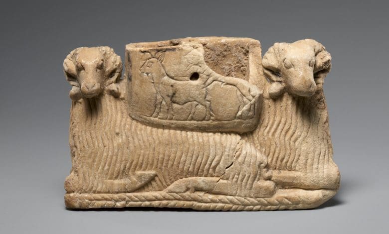 DNA kuno membuka 11.000 tahun domba dan sejarah manusia