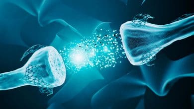 Para ilmuwan mengembangkan neuron buatan yang meniru persepsi manusia