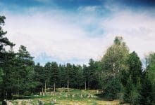 Menjelajahi Lingkaran Batu & Petroglyphs yang Terlupakan Norwegia