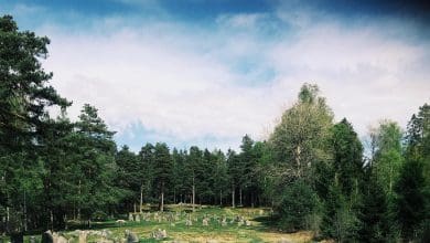 Menjelajahi Lingkaran Batu & Petroglyphs yang Terlupakan Norwegia