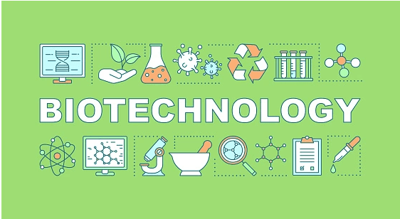 Perbedaan Bioteknologi Konvensional dan Modern
