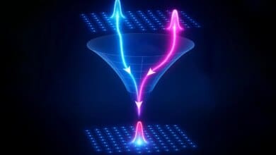 Cahaya yang Dapat Diorganisasikan Sendiri Dapat Mengubah Komputasi dan Komunikasi