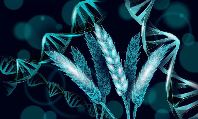 Para Ilmuwan Baru Saja Menemukan Peralihan Genetik Kecil yang Dapat Memberi Makan Miliaran Orang